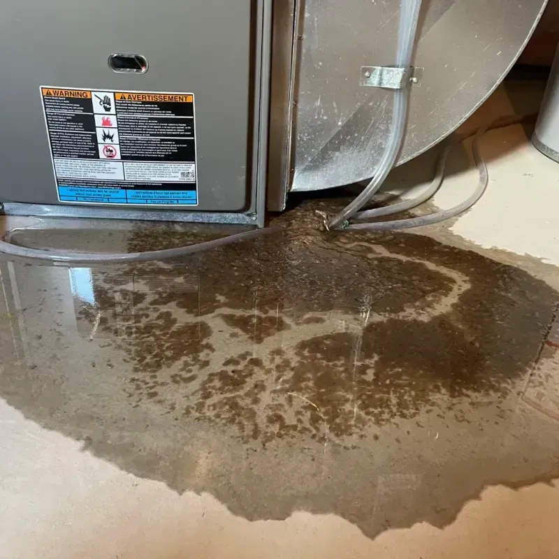 Appliance Leak Cleanup in North Druid Hills, GA